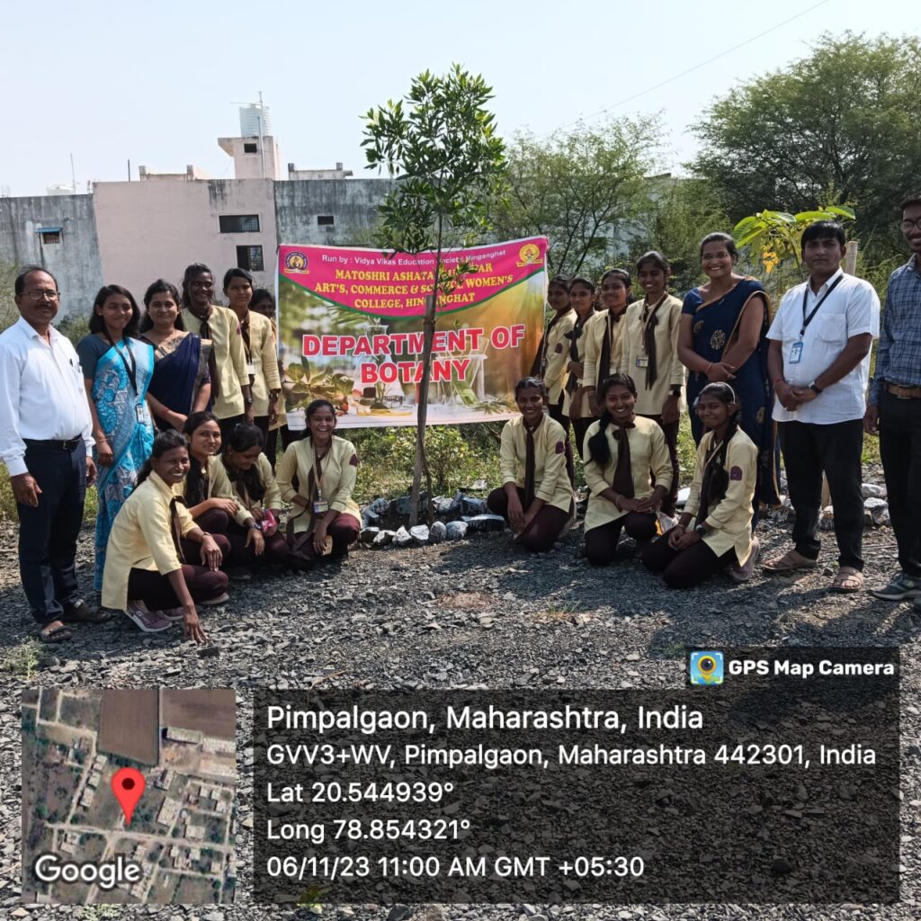 IMG-20231209-WA0106-2