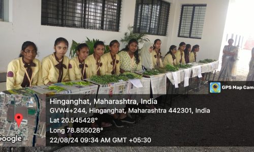 IMG-20240822-WA0053