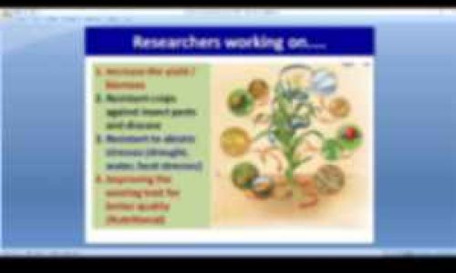 jpeg-optimizer_1000470403-2
